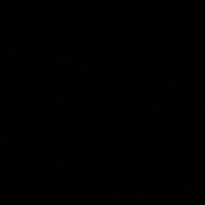 Meet your Posher, Darrell